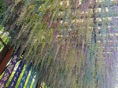 -芜湖方特东方神画