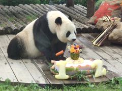 -大连森林动物园