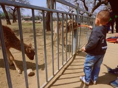 -西安秦岭野生动物园