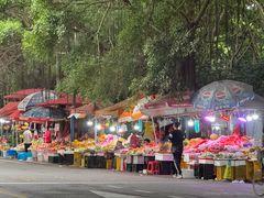 -小洲村