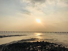 -宝安西湾红树林湿地公园