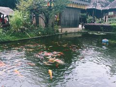 -云南民族村