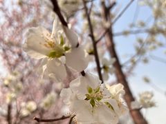 -元大都城垣遗址公园