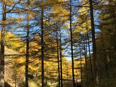 -苏木山森林公园