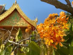 -西双版纳勐泐文化旅游区