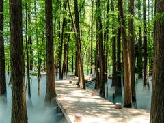 -东湖落雁景区