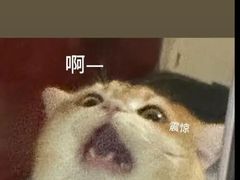-泡泡玛特POPMART(崇文门国瑞城店)