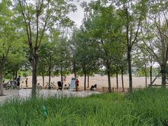 -东郊湿地公园