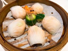 和苑招牌虾饺-和苑·精致粤菜(珠江新城店)