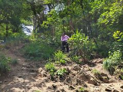 -青龙山国家森林公园