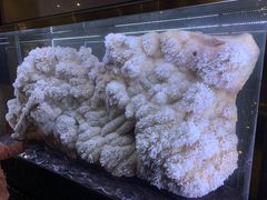 -湖南省地质博物馆