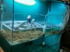 -小时候焗海鲜(鄞州万达店)