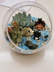 -弗蕾亚·和月月子调理院(东湖店)