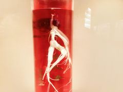 -广东中医药博物馆