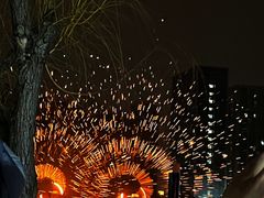 -海合安武汉极地海洋公园