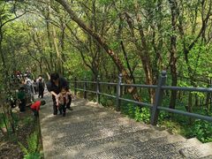 -紫金山山顶公园