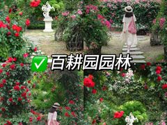 -老鼎万春卤菜(五代传承创始老店)