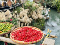 -西溪国家湿地公园