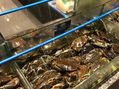 -Isla Sugbu Seafood City