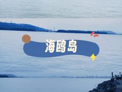 -海鸥岛