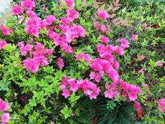 -白塘生态植物园