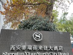 -西安赛瑞喜来登大酒店