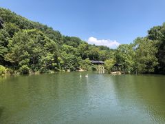 -千岛湖东南湖区