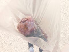 -大个子蒸饭