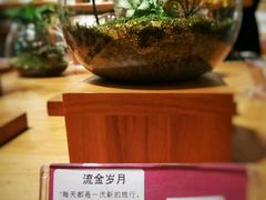 -矢量咖啡(万象汇店)