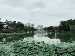-月湖风景区