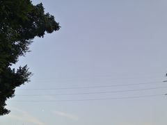 -光明港公园