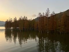 -东钱湖旅游度假区