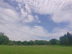 -福建鲤鱼洲酒店