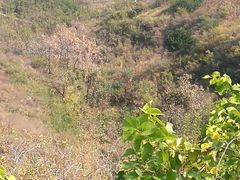 -府君山公园