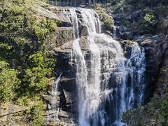 -海南热带雨林国家公园吊罗山景区