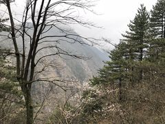 -九宫山风景区