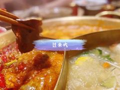 中辣牛油红锅·-小龙坎火锅(黄河店)
