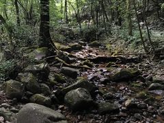-白云源风景区