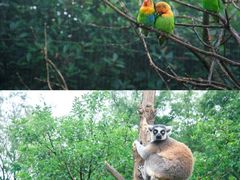 -杭州野生动物世界