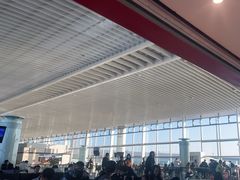 -青岛胶东国际机场