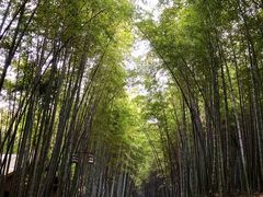 -苏州环秀晓筑养生度假村