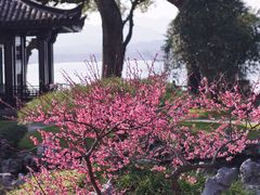 -杭州西湖柳莺里酒店·闻莺厅