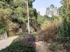 -火炉山森林公园