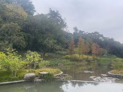 -云溪植物园