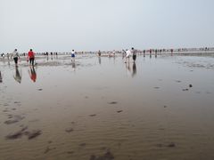 -仙人岛