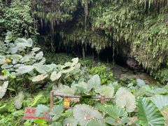 -海口火山口国家地质公园