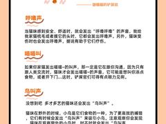 -pd派德宠物中心医院24H急重症·眼科中心·血液透析中心(嵩山北路店)