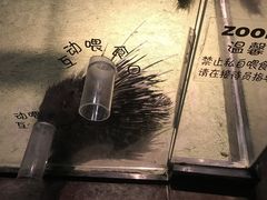 -zoonana室内动物园(东方福来德店)