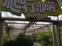 -南宫五洲植物乐园