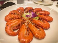 -东方御宴海鲜酒楼(棕泉酒店)
